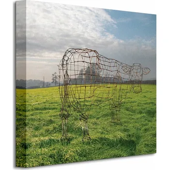 Obraz Pink Floyd Kostra Krávy Obraz na plátně 40x40 cm