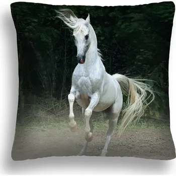 Polštář POLŠTÁŘ POVLAK S VLOŽKOU 40x40 SKÁKACÍ KŮŇ 14