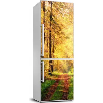 Fototapeta Fototapeta / Samolepka na lednici Les podzimní krajina 70x190 cm