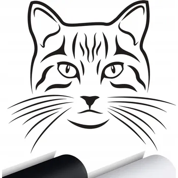 Samolepicí dekorace na vozidlo NÁLEPKA na auto KOČKA KOTĚ CAT KITTEN 15x13 cm