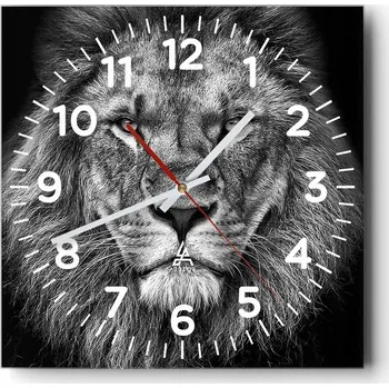 Hodiny Kuchyňské nástěnné hodiny 30x30 Zvířata Skleněné hodiny do obýváku Moderní Tiché