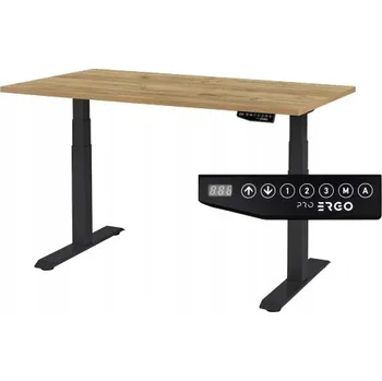 Psací stůl Obdélníkový psací stůl ProErgo 138 x 80 x 126 cm černý