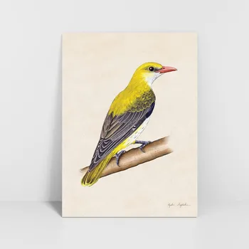 Obraz Plakát Wilga bez rámu 30 x 40 cm