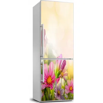 Fototapeta Foto Tapeta na lednici Polní květy 70x190 cm