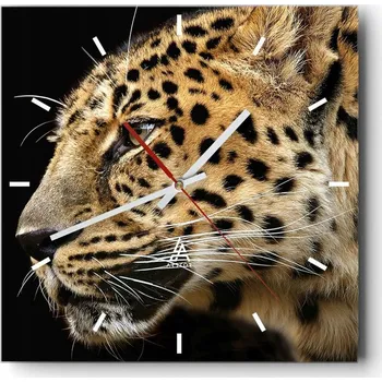 Hodiny Velké nástěnné hodiny 40x40 cm Zvířata Skleněné tiché hodiny