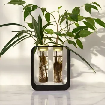 Plantbee Sada na množení rostlin Gemea XL limetková