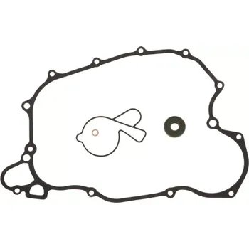 Těsnění motoru sada těsnění vodní pumpy, ATHENA M610-224