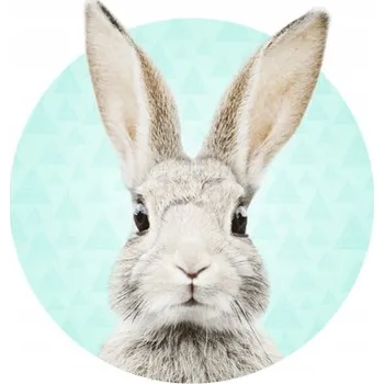 Samolepící dekorace NÁLEPKA NA ZEĎ PRO DĚTI MÁTOVÝ KRÁLÍK STEFAN