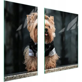 Kuchyňské prkénko Krájecí deska TMK ArtDeko sklo 2 ks