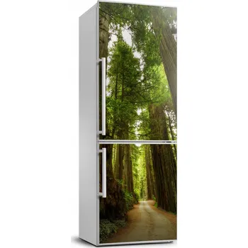 Fototapeta Samolepící tapeta na lednici Cesta v lese 70x190 cm