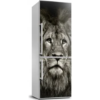 Fototapeta Samolepicí samolepící na ledničku - zeď Lev 70x190