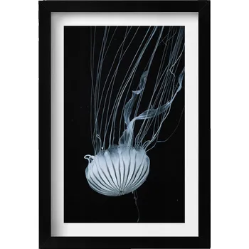 Obraz Dekorativní nástěnný obraz s rámem, grafika Medúzy v loft stylu na černém pozadí, 20x30 cm