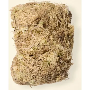 Substrát Plantbee Rašeliník z Chile (Sphagnum Moss) 100 g
