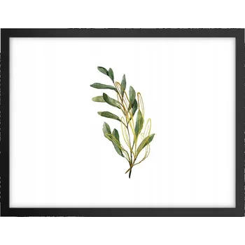 Obraz Obraz plakát v černém rámu do obýváku 40x30 listy foto plakáty na zeď