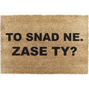 Rohožka Rohožka z kokosového vlákna 40x60 cm Zase Ty? – Artsy Doormats ID_783356