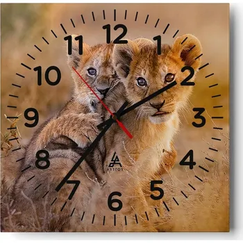 Hodiny Nástěnné hodiny do obýváku 40x40 Zvířata Bezhluczne Skleněné hodiny Tiché