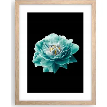 Obraz Obraz plakát v rámu světlý dub do obýváku 30x40 květiny foto plakáty na zeď