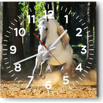 Hodiny Kuchyňské nástěnné hodiny 30x30 Zvířata Skleněné hodiny do obýváku Moderní Tiché