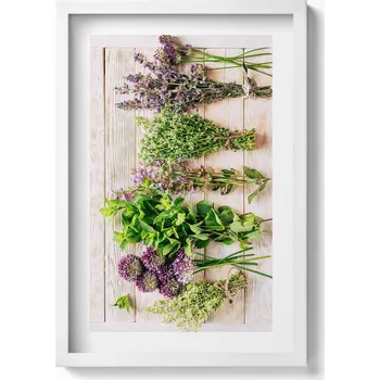 Obraz Obraz s bílým rámem a grafikou na zeď Rostliny a bylinky na deskách 40x60 cm