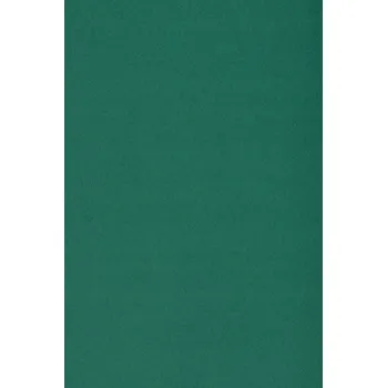 Kancelářský papír Barevný kartonový papír 250g, zelený - 10 listů formátu SRA3