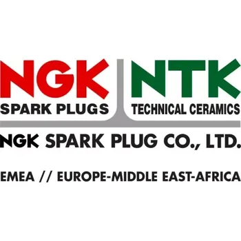 Zapalovací a žhavicí svíčka NGK Zapalovací svíčka R0373A-11