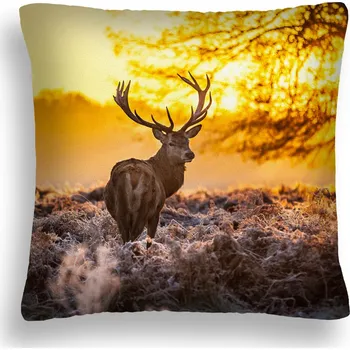 Polštář POLŠTÁŘ ZW 13 JELEN V ŘÍJI VÝCHOD SLUNCE