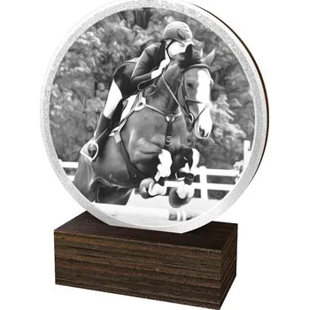 Poháry Bauer Dřevěná plaketa TFRW898 | Jezdectví