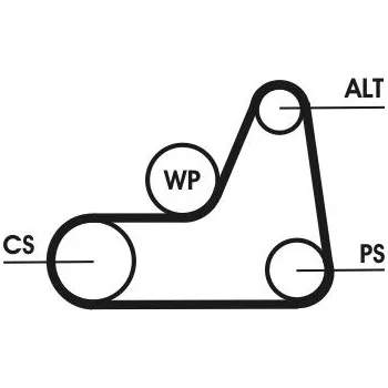 Sada žebrovaných klínových řemenů CONTINENTAL CTAM 6PK1042 ELAST T1