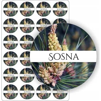 samolepka Samolepky Arch štítků matné domácí sirupy likér Arch nálepek BOROVICE