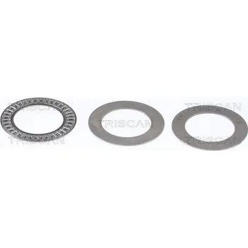 Valivé ložisko, ložisko pružné vzpěry TRISCAN 8500 24925