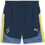 Kraťasy Puma Blue 1026721 S