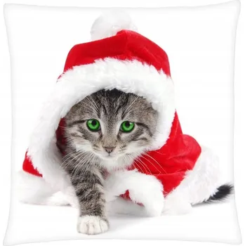 Polštář POLŠTÁŘ VÁNOČNÍ 40*40 KOČKA MIKULÁŠ