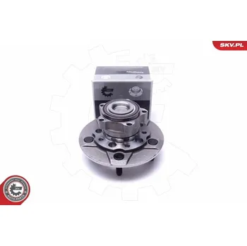 Sada ložisek kol ESEN SKV 29SKV313