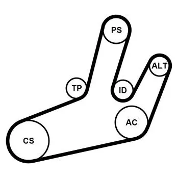 Sada žebrovaných klínových řemenů CONTINENTAL CTAM 6PK1780K1