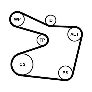 Vodní pumpa + klínový žebrový řemen CONTINENTAL CTAM 6PK1555WP1