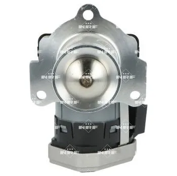 Ventil palivového systému AGR-Ventil NRF 48730