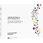 Zinzino ZinoGene+ 30 tbl. (Podporuje syntézu DNA a buněčné dělení )