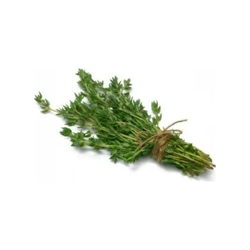 Koření Horňácká farma BIO Tymián svazek, min. 5 g