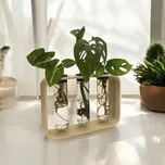 Plantbee Sada na množení rostlin Gemea fialová