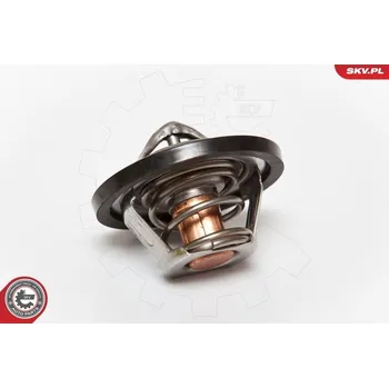 Těsnění motoru Termostat, chladivo ESEN SKV 20SKV015