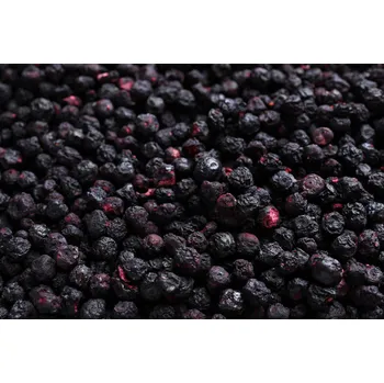 Sušené ovoce Borůvky lesní lyofilizované celé 10 kg Les Fruits du Paradis