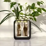 Plantbee Sada na množení rostlin Gemea XL fialová