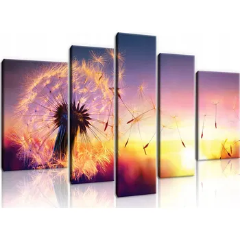 Obraz OBRAZ NA PLÁTNĚ 170x100 PAMPELIŠKA SLUNCE