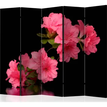 Paraván Paraván - Azalka v černém II Velikost: 225x172 cm, Provedení: Jednostranný
