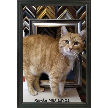 Obraz Rám na míru svatba svaté přijímání zarámování fotografií 15x21