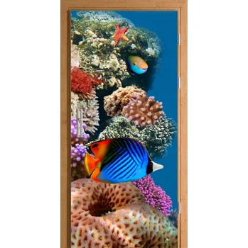 Fototapeta Samolepka na dveře samolepicí nálepka na ryby, korálový útes