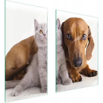 Kuchyňské prkénko Krájecí deska TMK ArtDeko sklo 2 ks