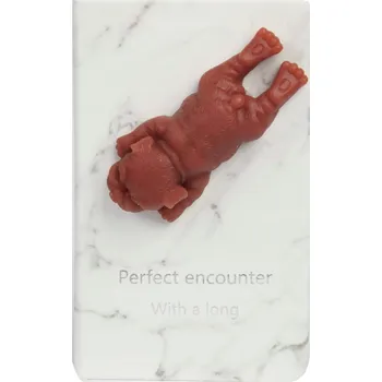 Zápisník Zápisník NOTES Deník POP IT