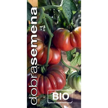 Semeno PURPLE CALABASH 10 s