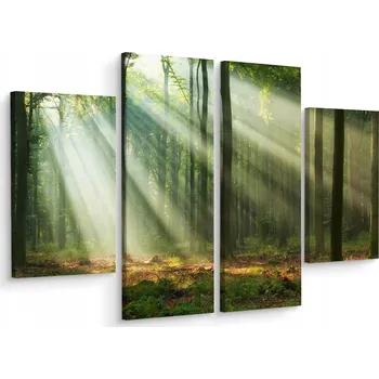 Obraz Vícedílný obraz LES Zeleň Příroda 3D 80x60 cm